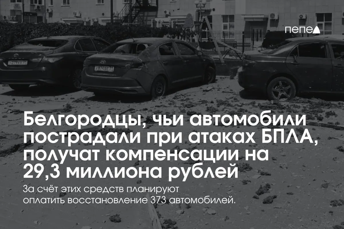 Врио губернатора сообщил, что компенсации получат 373 владельца (в среднем по 78,5 тыс. руб.). С 13 июля выплаты начали поступать — ранее они были приостановлены из‑за нехватки средств; правительство выделило 100 млн руб., в регионе создан новый фонд.