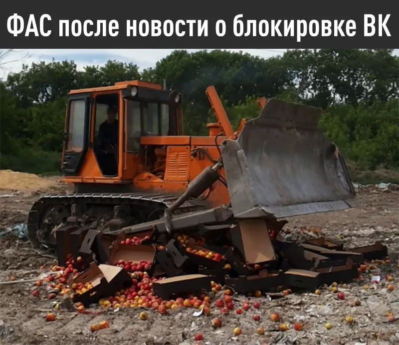 Федеральная антимонопольная служба выдала предупреждение компании: если требования об устранении дискриминации российских поисковых систем и предустановке отечественного ПО на iOS-устройствах не будут выполнены до 15 июля, может быть возбуждено дело и наложен штраф до 4 млрд рублей.