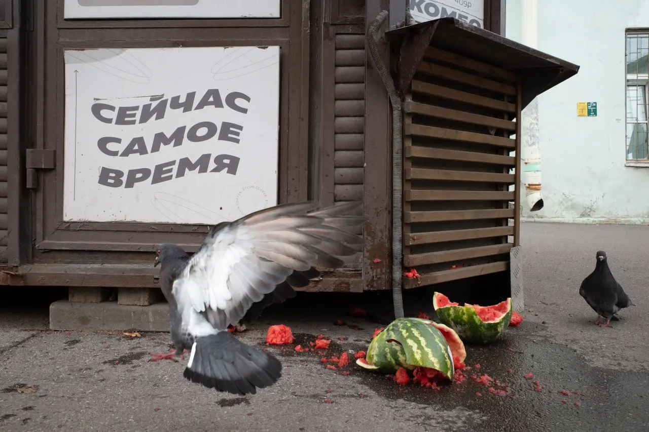 В Петербурге и Ленобласти продолжаются новости: штраф за антивоенный призыв, панихиды в память жертв репрессий, а также новые политические и международные события.