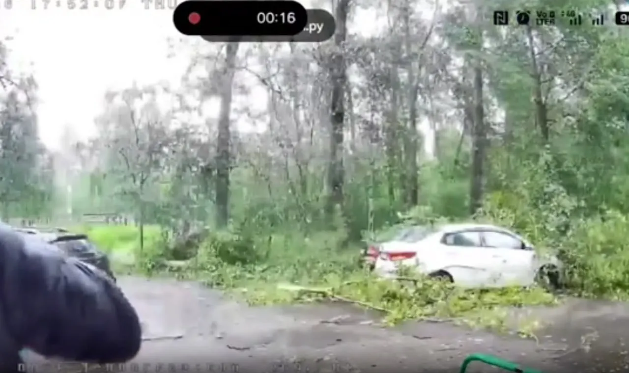 Во время дневной и ночной непогоды 13–14 августа в Архангельске повалились деревья, одно из них упало во дворе на Ленинградском проспекте, 269, повредив припаркованные автомобили. Специалисты проводят расчистку.