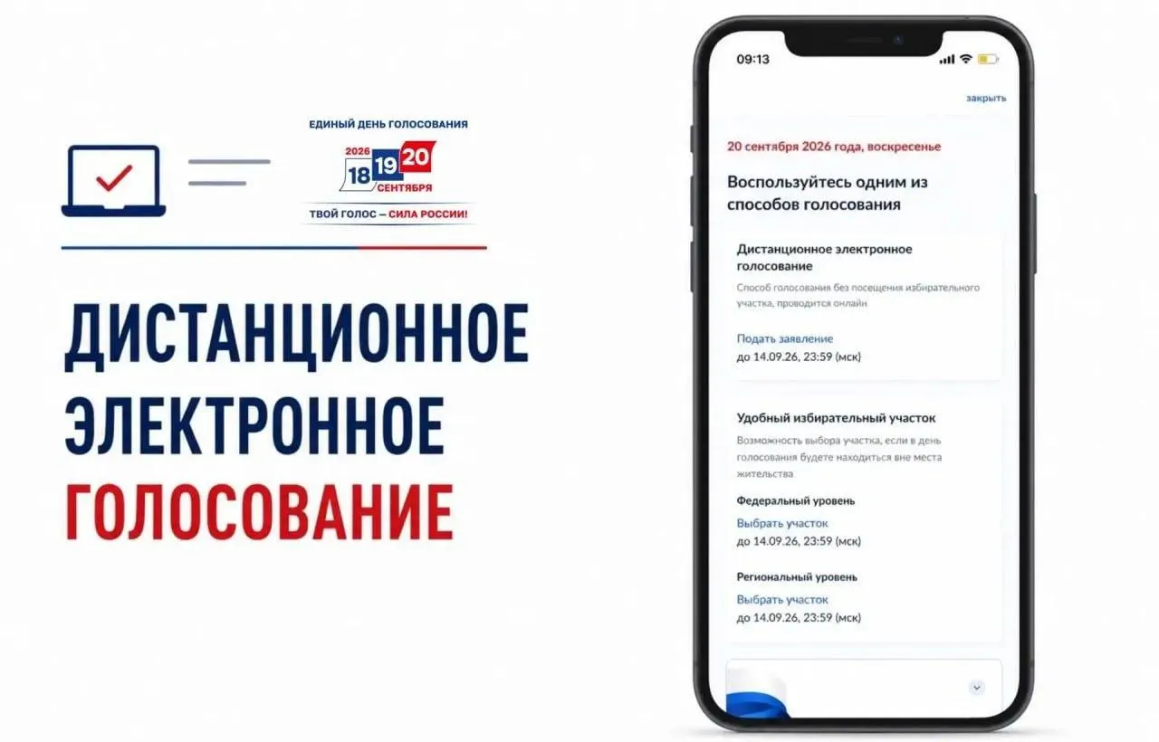 Открылась подача заявлений на участие в дистанционном электронном голосовании на Госуслугах; рассматриваются вопросы транспарентности и риски влияния на результаты.