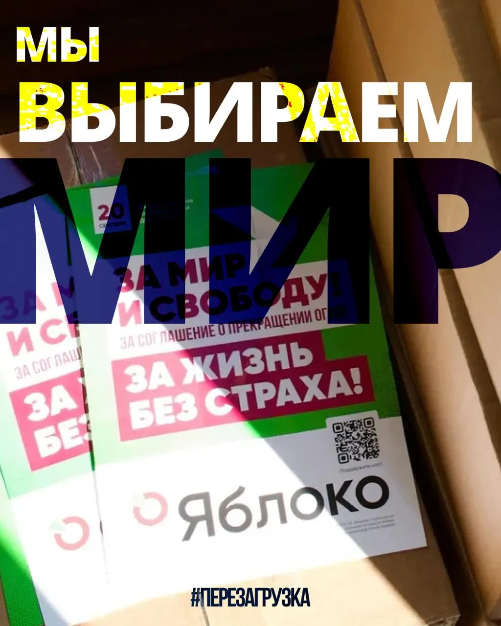 В 53 регионах продолжается кампания 135 кандидатов от партии «Яблоко»; ожидается апелляция в Верховный суд и нарастает поддержка по всей России.