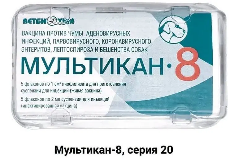 Пострадавшие требуют расследования причин смертей домашних животных после вакцинации препаратом Мультикан-8; случаи зафиксированы в нескольких регионах, выводы по делу пока не представлены.