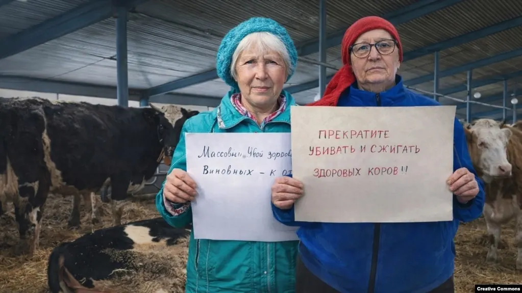 Министр сельского хозяйства Новосибирской области Андрей Шинделов лишился должности после претензий к работе ведомства и критики мер по борьбе с заболеваниями животных, приведших к массовому изъятию и убою скота и протестам фермеров.