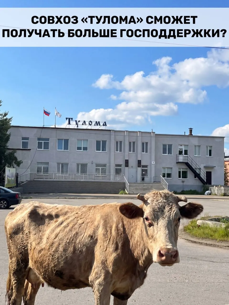 Изменения в правилах субсидирования молочного животноводства допускают помощь хозяйствам с долей госсобственности свыше 25%, что важно для Мурманской области, но остаётся сомнение в оперативности выплат.
