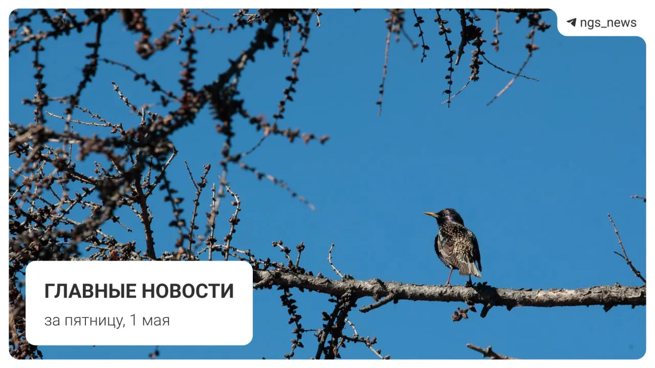 Коротко за 1 мая: в Татарске в детской спортивной школе обрушился потолок — без пострадавших. Также в выпуске: поезд из старых вагонов на Дзержинской ветке, новости о фонтане в Центральном парке, первомайское шествие и погром на площади Маркса.