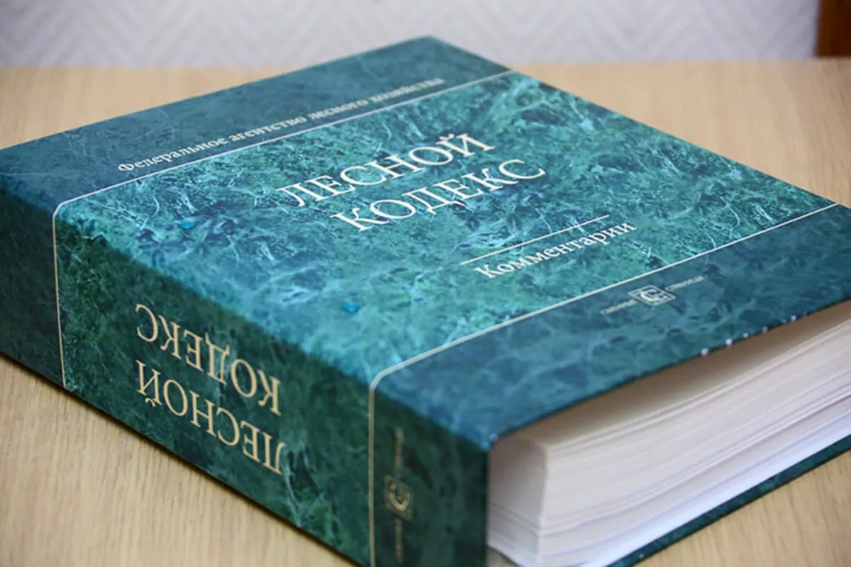 В результате многочисленных поправок кодекс перестал соответствовать практике: эксперт считает, что документ нужно существенно упростить или создать заново.