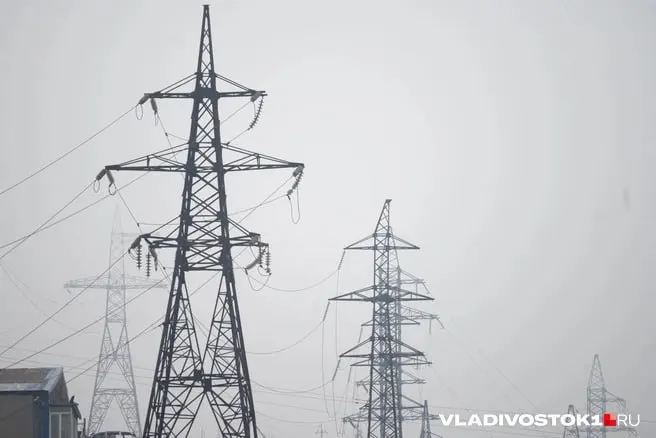 По прогнозу Минэкономразвития, для жителей Приморья тарифы на электроэнергию по этапам вырастут с нынешних 5,81 ₽/кВт·ч до примерно 8,04 ₽/кВт·ч к 2029 году.