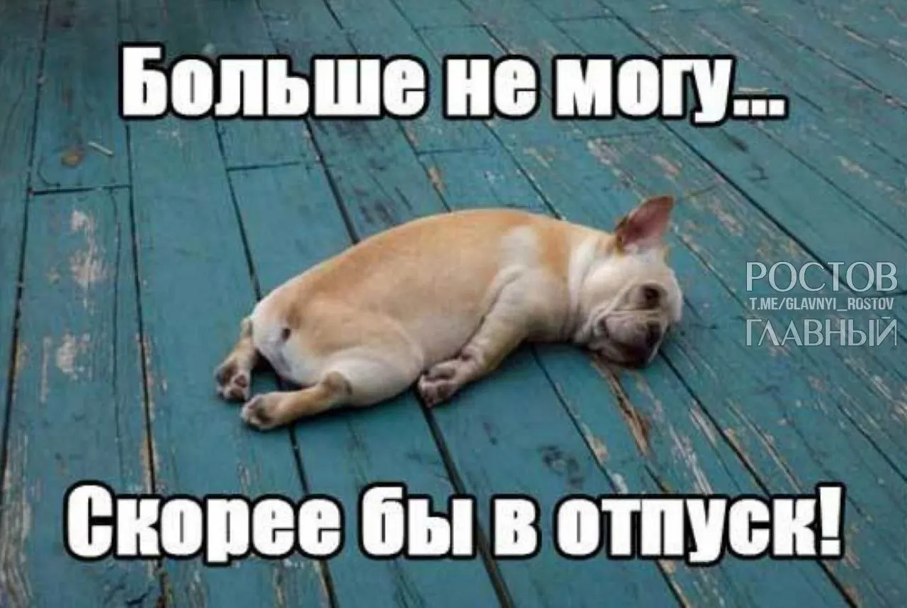 Инициатива Госдумы — увеличить минимальный оплачиваемый отпуск с 28 до 35 дней, чтобы компенсировать праздничные дни и помочь россиянам лучше отдыхать и избежать выгорания.