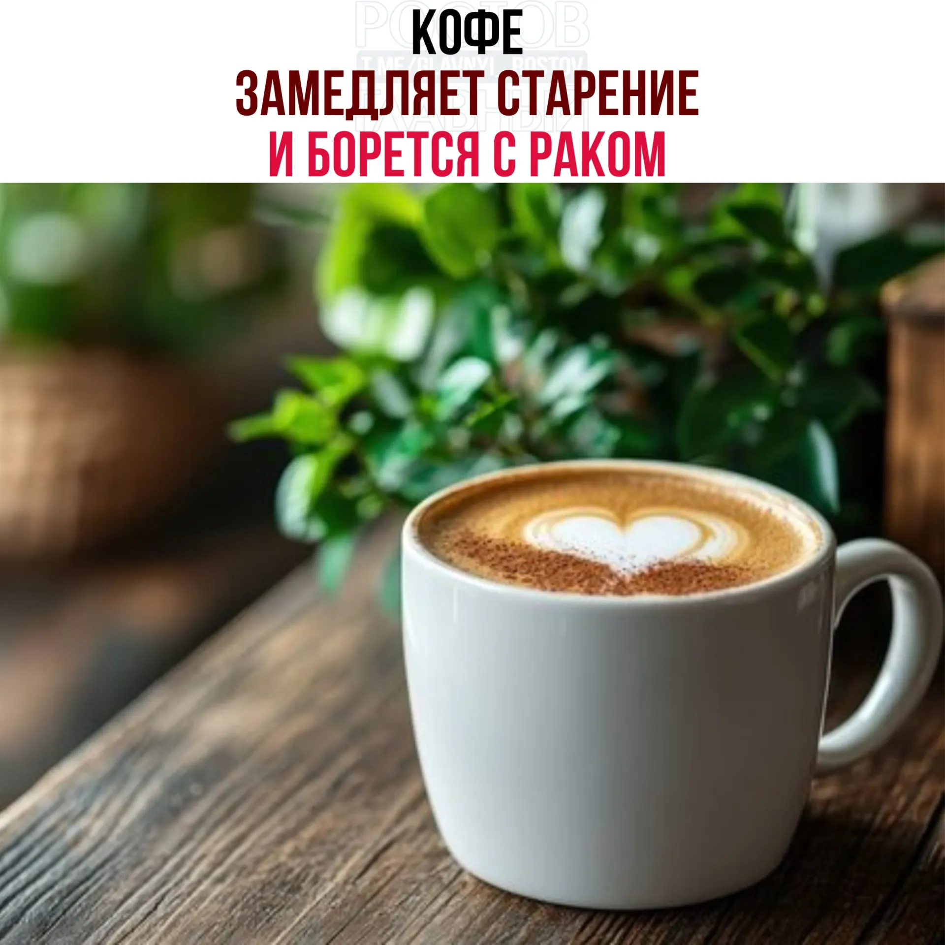 Учёные обнаружили, что в кофейных зёрнах есть кислоты и полифенолы, активирующие белок NR4A1. Он запускает процессы восстановления тканей, снижает воспаление и замедляет рост раковых клеток.