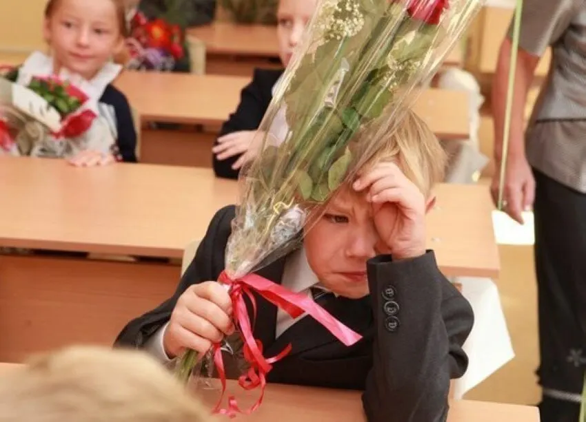 Заместитель главы Минпросвещения заявил, что 11-летний срок обучения признан оптимальным, и на данный момент планов по его сокращению или увеличению нет; стандарты будут разрабатываться с учётом именно 11 классов.