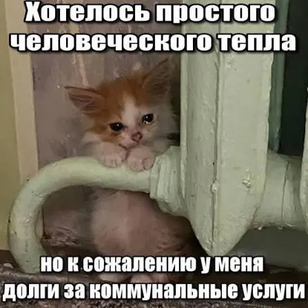 ВС подтвердил, что срок исковой давности в три года защищает должников: операторы капремонта не могут требовать оплату долгов старше трёх лет. Решение важно для покупателей вторичного жилья и наследников.
