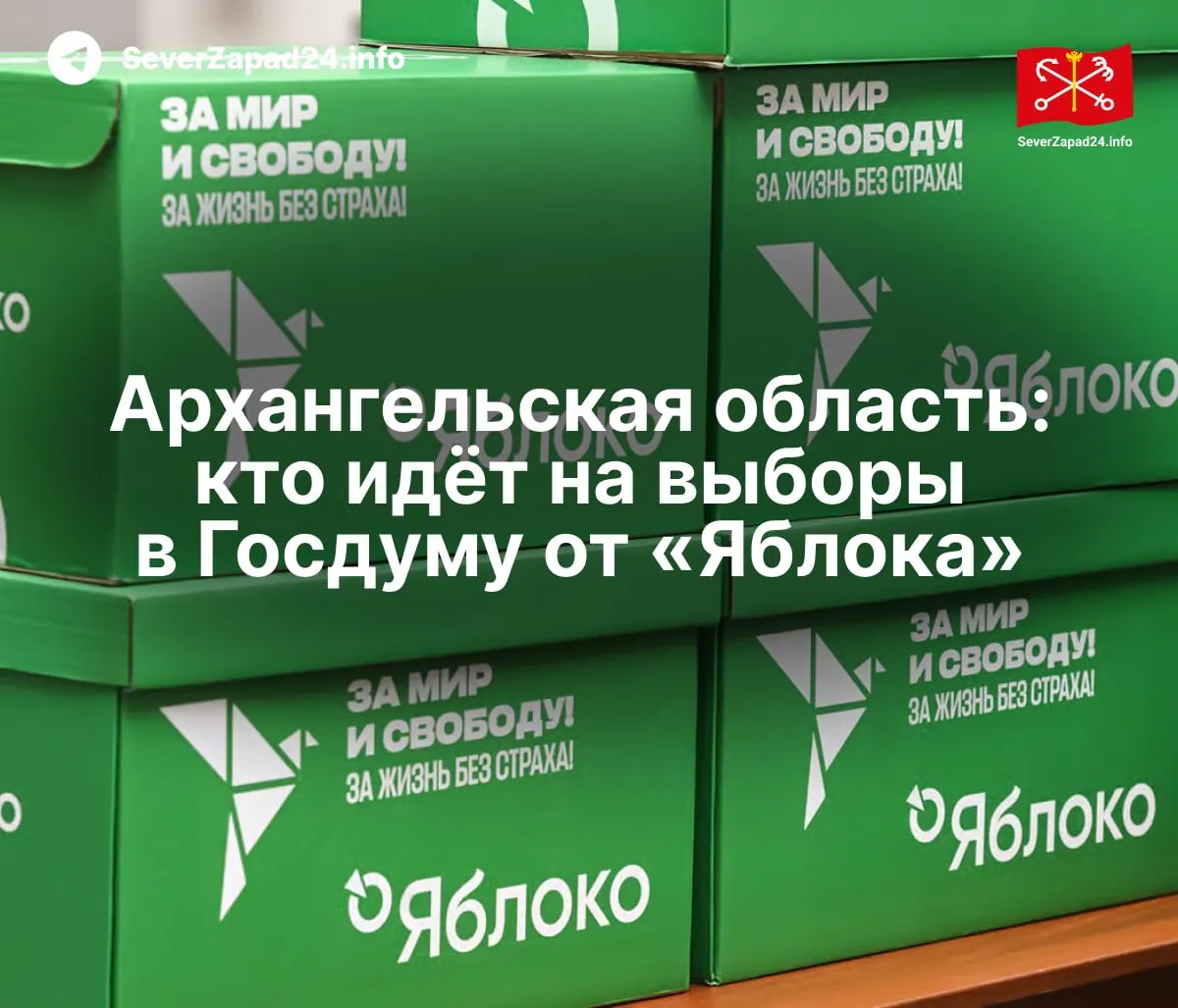Яблоко опубликовала полный перечень кандидатов от региона на предстоящие выборы в Госдуму.