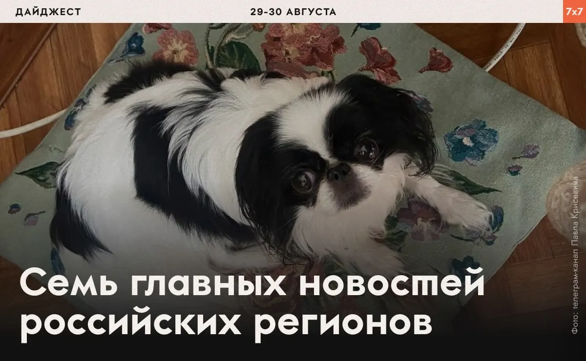 Давление над активистами и меры воздействия властей охватывают регионы: принуждения к физическим нагрузкам, контроль над маникюром и запреты на агитацию.
