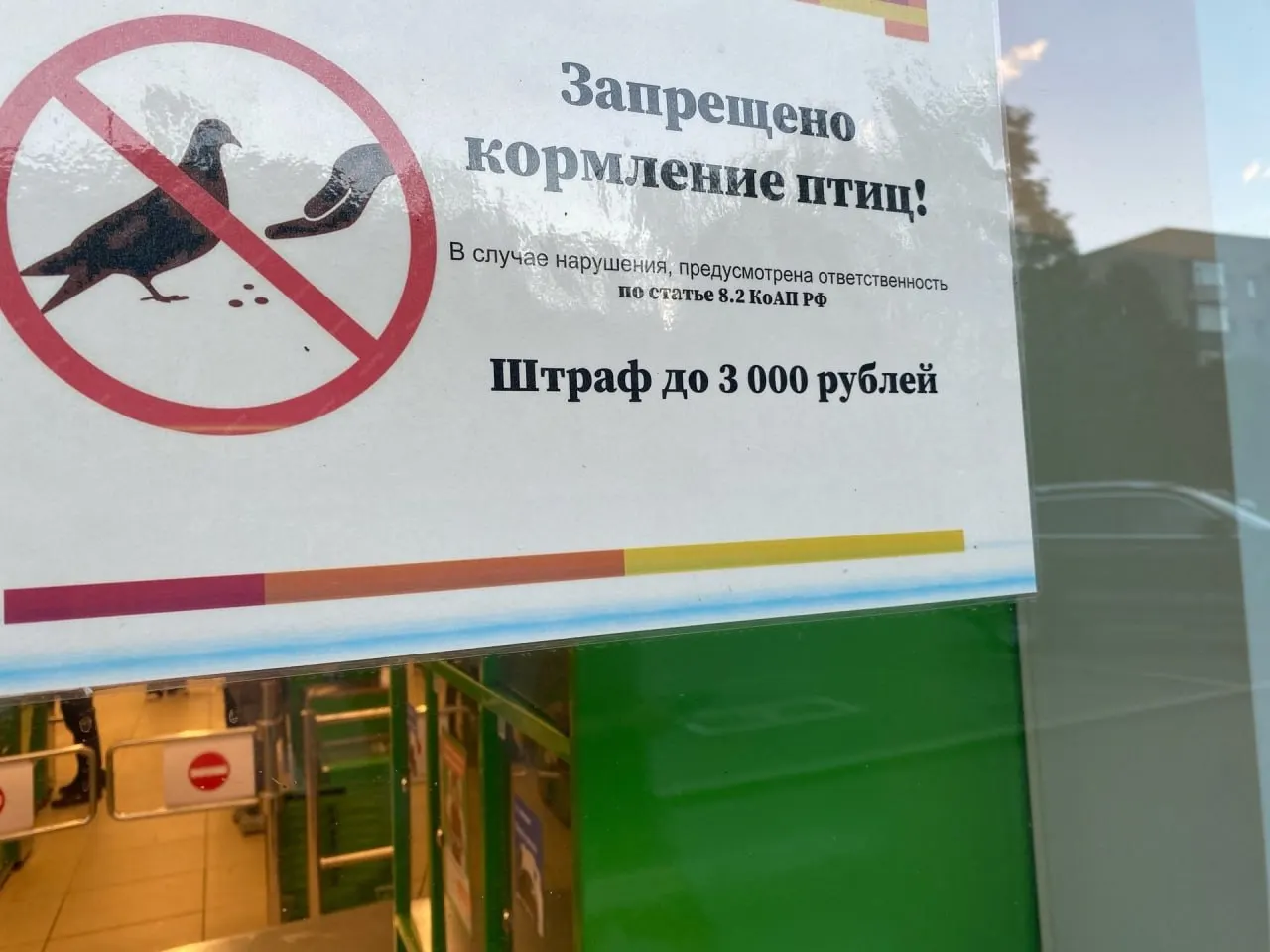 Жители Архангельска заметили возле магазинов предупреждающие таблички, запрещающие кормить голубей. За нарушение — штраф 3 тысячи рублей.