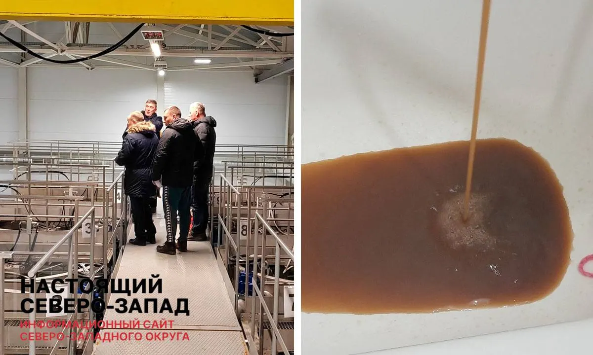 Доля жителей, обеспеченных качественной питьевой водой, уменьшается из‑за изношенных сетей и нехватки очистных сооружений. В материалах приводятся региональные данные по Карелии и соседним областям.