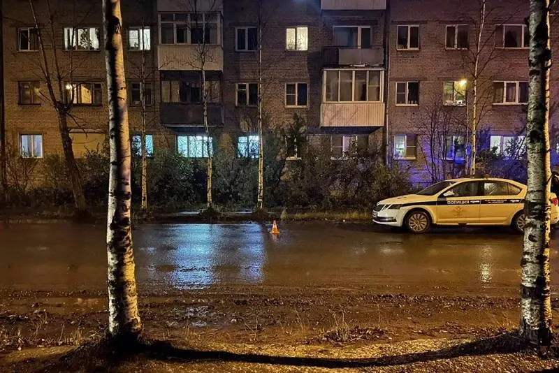 13 октября на улице Партизанской водитель Kaiyi сбил 39-летнюю женщину; пострадавшая скончалась в больнице на следующий день. Водитель ранее 22 раза нарушал ПДД, в том числе за превышение скорости.