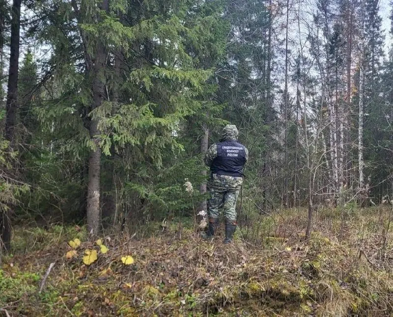 49-летний охотник погиб возле поселка Пинега; расследование обстоятельств происшествия ведёт Следственный комитет.