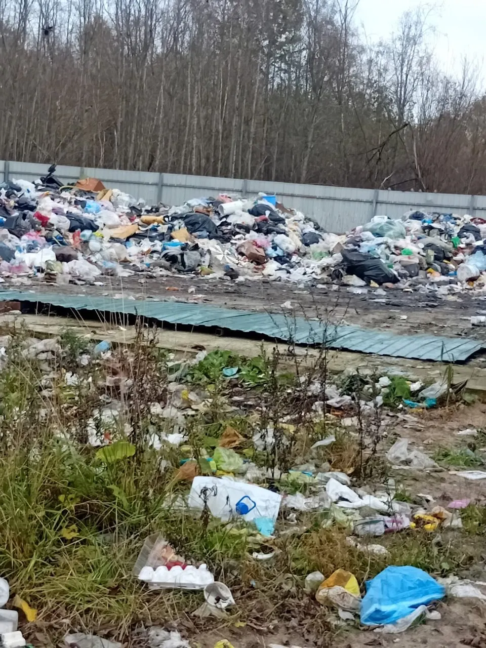 В Архангельске снова жалуются на мусор вокруг свалки у Бревенника: ворота сломаны, стена разрушена, мусор разносится ветром и птицами; уборка происходила весной, но проблема вернулась.