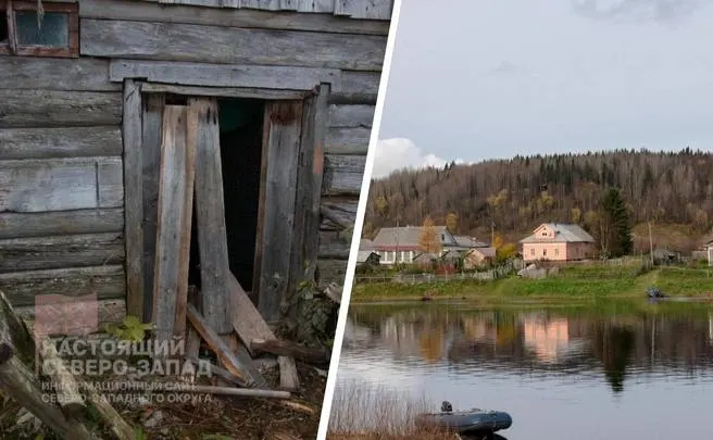 В регионе зафиксировано приближение медведей к населённым пунктам; власти организуют патрули и меры по снижению угрозы для жителей.